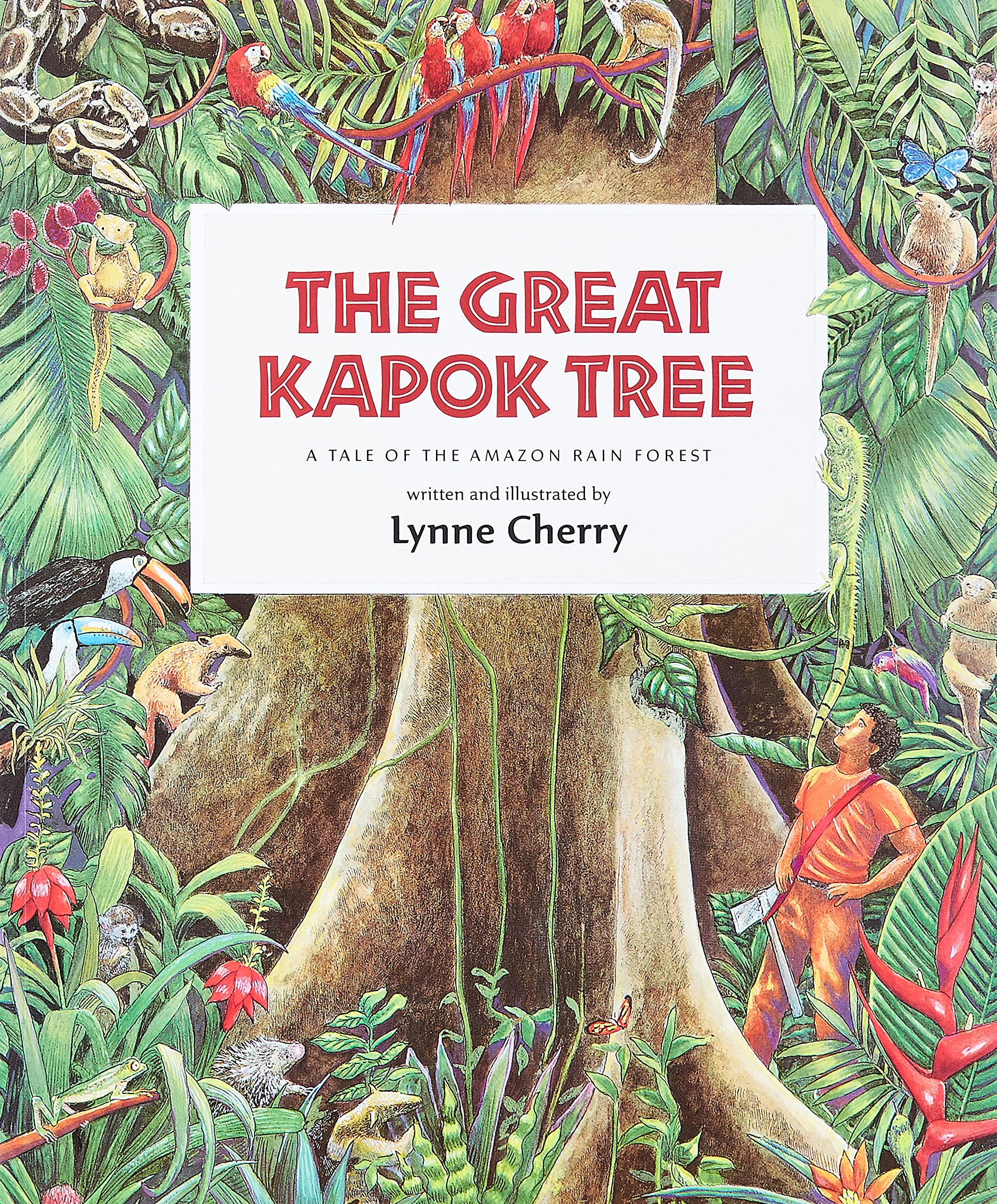greatkapok-tree